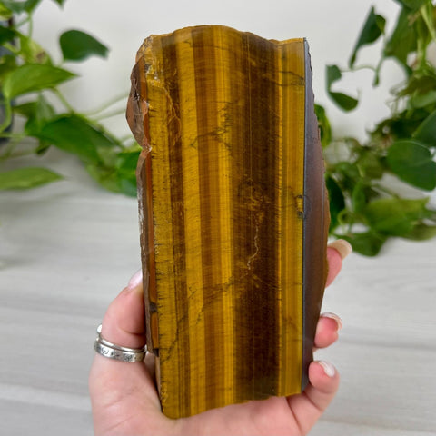 Golden Tiger's Eye Slab 99 6 - Kenna's Crystals from TikTok