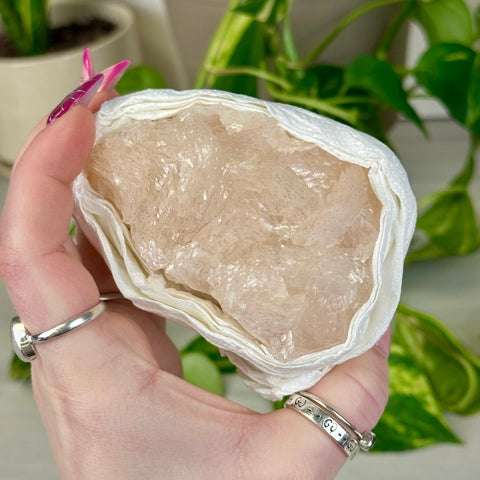 Grapefruit Mangano Calcite Specimen 133 17 - Kenna's Crystals from TikTok