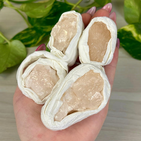 Grapefruit Mangano Calcite Specimen 22 4 - Kenna's Crystals from TikTok