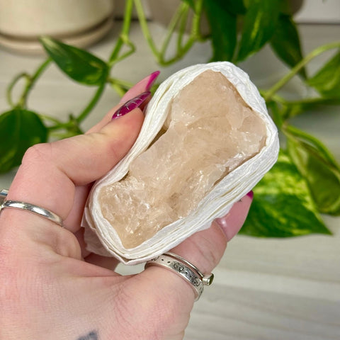 Grapefruit Mangano Calcite Specimen 88 15 - Kenna's Crystals from TikTok