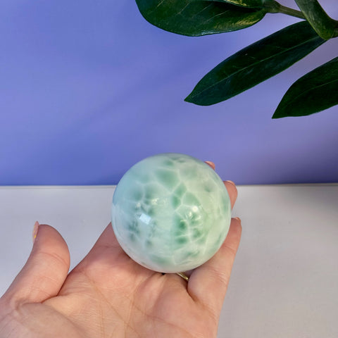 Hand holding a polished green alabaster sphere with white marbling, against a purple wall and green plant.