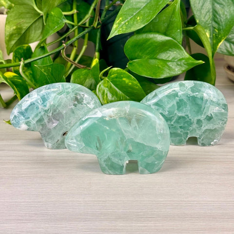 Green Fluorite Bear Fetish Large 1 - Kenna's Crystals from TikTok