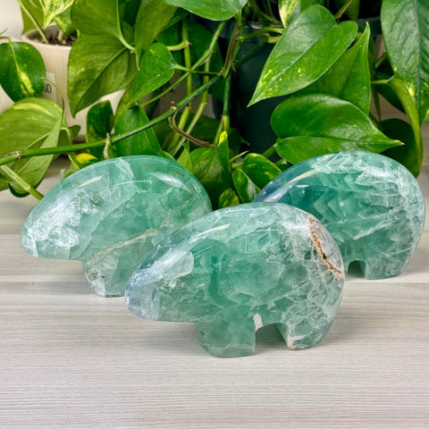 Green Fluorite Bear Fetish XL 3 - Kenna's Crystals from TikTok