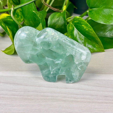 Green Fluorite Bison Large 2 - Kenna's Crystals from TikTok