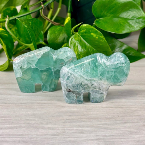 Green Fluorite Bison Medium 1 - Kenna's Crystals from TikTok