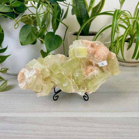 Green Goblin Apophyllite A 27 - Kenna's Crystals from TikTok