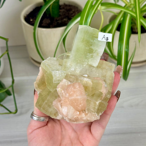 Green Goblin Apophyllite A3 13 - Kenna's Crystals from TikTok