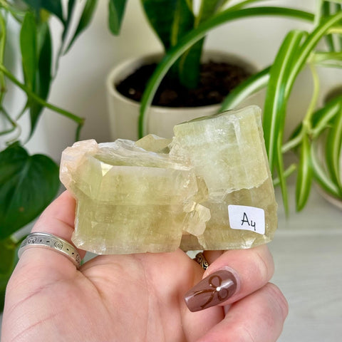 Green Goblin Apophyllite A4 59 - Kenna's Crystals from TikTok