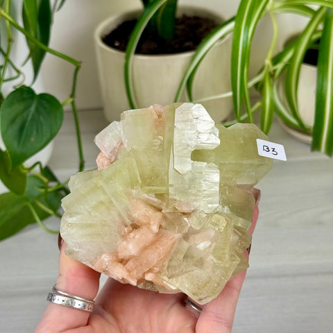 Green Goblin Apophyllite B3 14 - Kenna's Crystals from TikTok