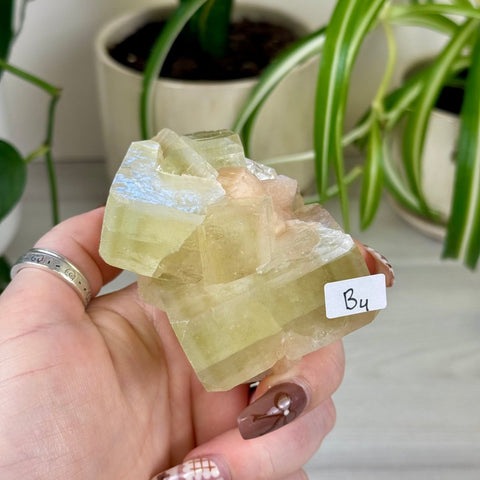 Green Goblin Apophyllite B4 60 - Kenna's Crystals from TikTok