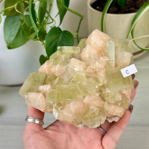 Green Goblin Apophyllite C 28 - Kenna's Crystals from TikTok