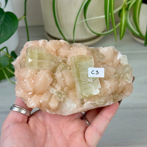 Green Goblin Apophyllite C3 15 - Kenna's Crystals from TikTok