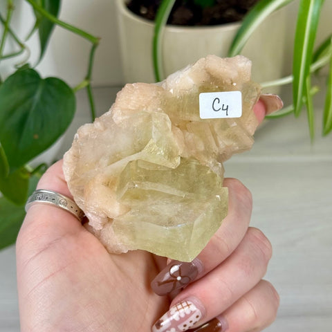 Green Goblin Apophyllite C4 61 - Kenna's Crystals from TikTok