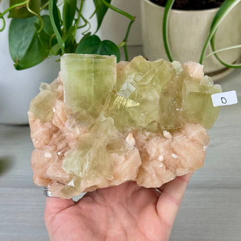 Green Goblin Apophyllite D 29 - Kenna's Crystals from TikTok
