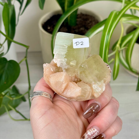 Green Goblin Apophyllite D2 43 - Kenna's Crystals from TikTok