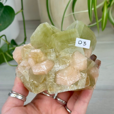 Green Goblin Apophyllite D3 16 - Kenna's Crystals from TikTok