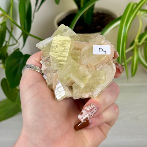Green Goblin Apophyllite D4 62 - Kenna's Crystals from TikTok