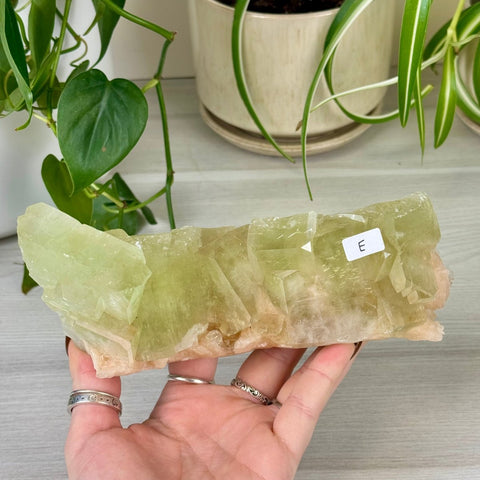 Green Goblin Apophyllite E 30 - Kenna's Crystals from TikTok