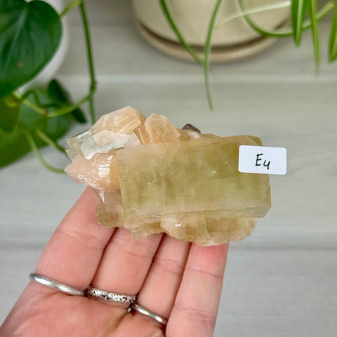 Green Goblin Apophyllite E4 63 - Kenna's Crystals from TikTok