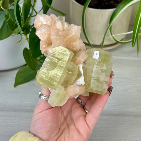 Green Goblin Apophyllite F 31 - Kenna's Crystals from TikTok