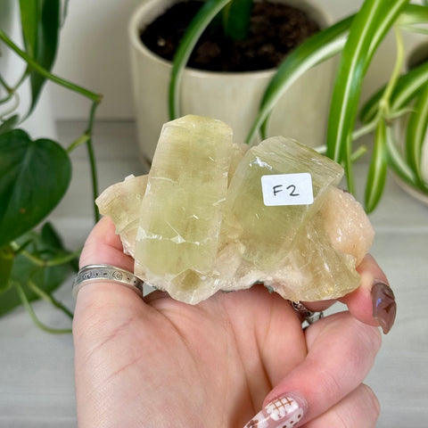 Green Goblin Apophyllite F2 44 - Kenna's Crystals from TikTok