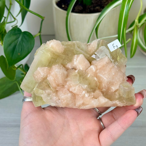 Green Goblin Apophyllite F3 18 - Kenna's Crystals from TikTok