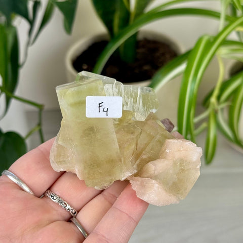 Green Goblin Apophyllite F4 64 - Kenna's Crystals from TikTok