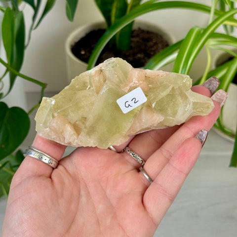 Green Goblin Apophyllite G2 45 - Kenna's Crystals from TikTok