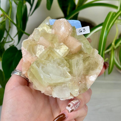 Green Goblin Apophyllite G3 19 - Kenna's Crystals from TikTok