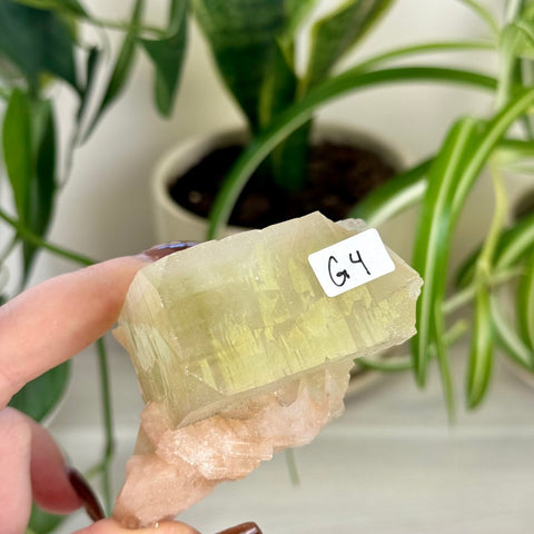 Green Goblin Apophyllite G4 65 - Kenna's Crystals from TikTok