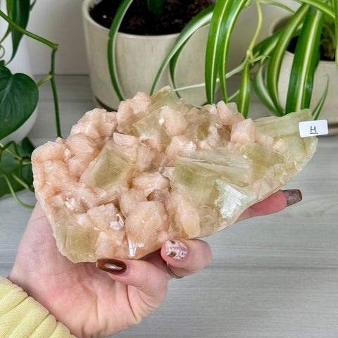 Green Goblin Apophyllite H 33 - Kenna's Crystals from TikTok