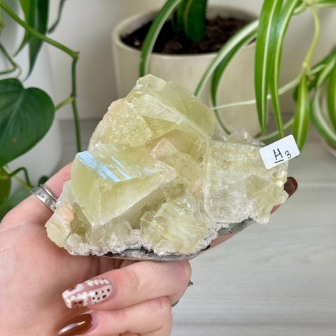 Green Goblin Apophyllite H3 20 - Kenna's Crystals from TikTok