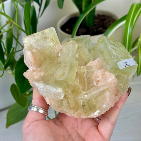Green Goblin Apophyllite I 34 - Kenna's Crystals from TikTok