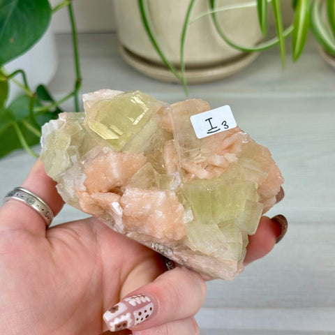 Green Goblin Apophyllite I3 21 - Kenna's Crystals from TikTok
