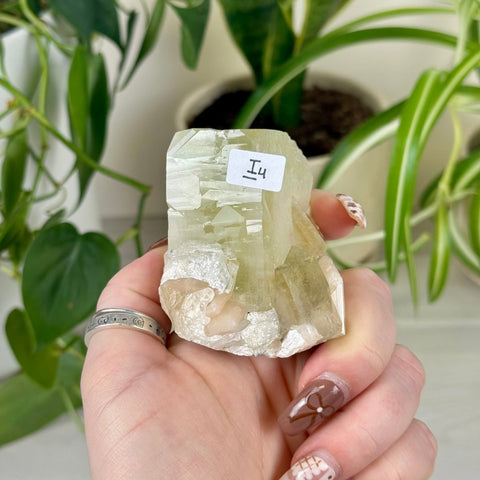 Green Goblin Apophyllite I4 67 - Kenna's Crystals from TikTok