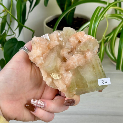 Green Goblin Apophyllite J3 22 - Kenna's Crystals from TikTok