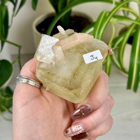 Green Goblin Apophyllite J4 68 - Kenna's Crystals from TikTok