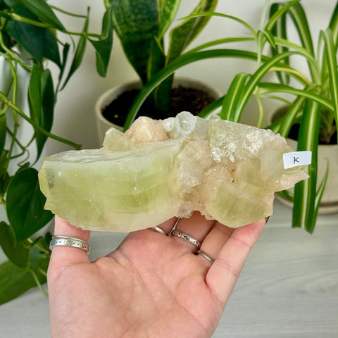 Green Goblin Apophyllite K 35 - Kenna's Crystals from TikTok