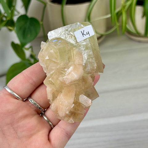 Green Goblin Apophyllite K4 69 - Kenna's Crystals from TikTok