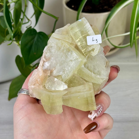 Green Goblin Apophyllite L3 24 - Kenna's Crystals from TikTok