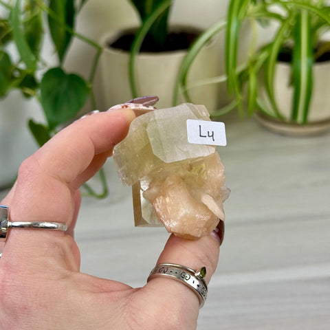 Green Goblin Apophyllite L4 70 - Kenna's Crystals from TikTok