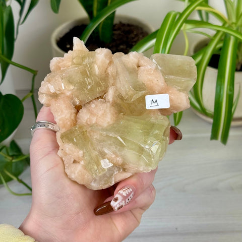 Green Goblin Apophyllite M 36 - Kenna's Crystals from TikTok