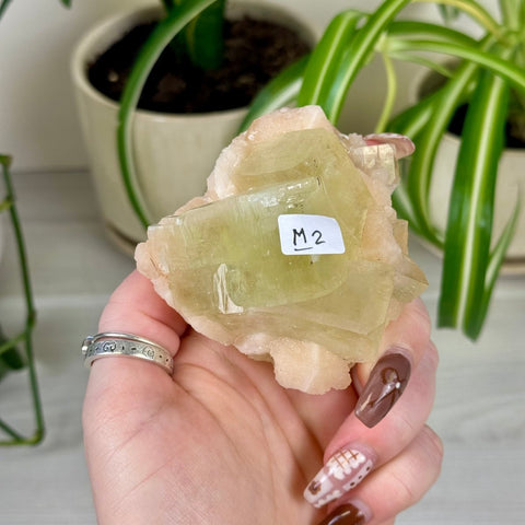 Green Goblin Apophyllite M2 2 - Kenna's Crystals from TikTok