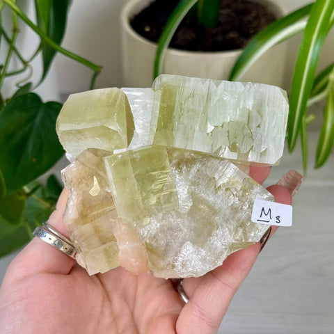 Green Goblin Apophyllite M3 25 - Kenna's Crystals from TikTok