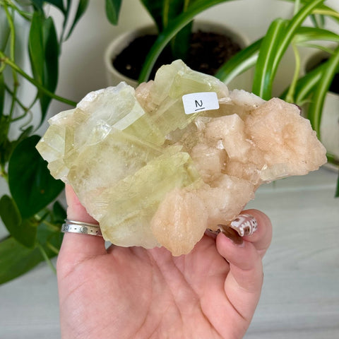 Green Goblin Apophyllite N 37 - Kenna's Crystals from TikTok
