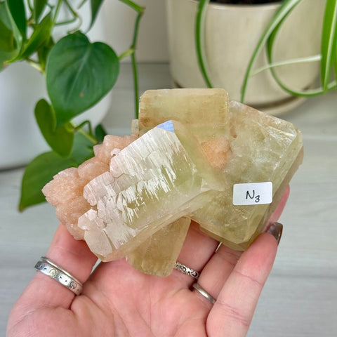 Green Goblin Apophyllite N3 26 - Kenna's Crystals from TikTok