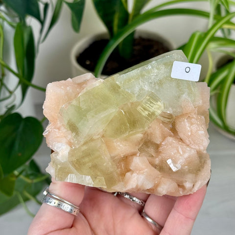 Green Goblin Apophyllite O 38 - Kenna's Crystals from TikTok