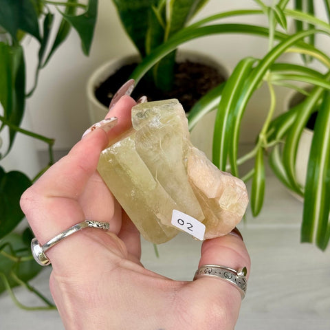 Green Goblin Apophyllite O2 3 - Kenna's Crystals from TikTok