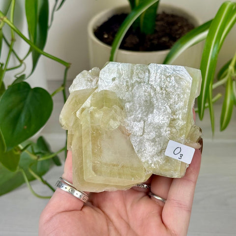 Green Goblin Apophyllite O3 47 - Kenna's Crystals from TikTok