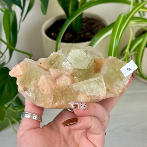 Green Goblin Apophyllite Q 39 - Kenna's Crystals from TikTok